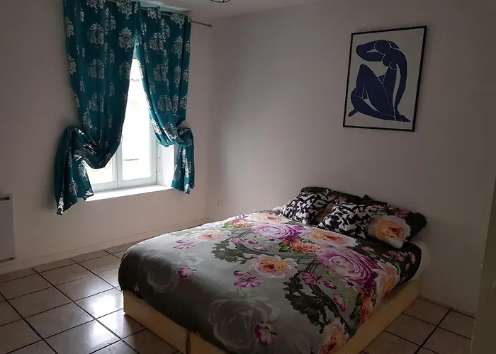Jolie Appartement Moderne A Roanne